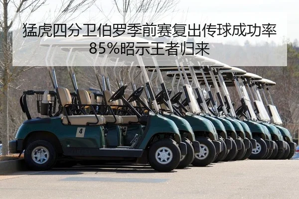 猛虎四分卫伯罗季前赛复出传球成功率85%昭示王者归来