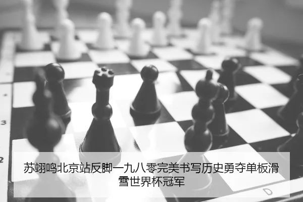 su-yi-ming-bei-jing-zhan-fan-jiao-yi-jiu-ba-ling-wan-mei-shu-xie-li-shi-yong-duo-dan-ban-hua-xue-shi-jie-bei-guan-jun-2-121.jpg